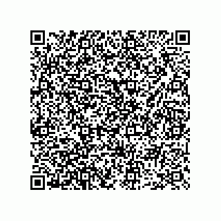 vCard 73952593521
