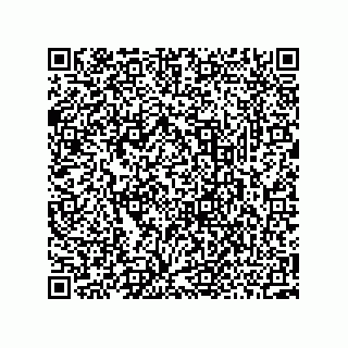 vCard 73952593529