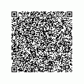 vCard 73952593538