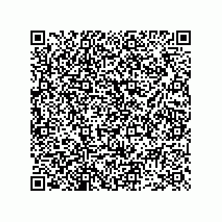 vCard 73952650252