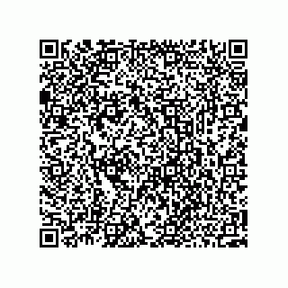 vCard 73952700502