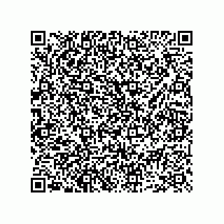 vCard 73952703387