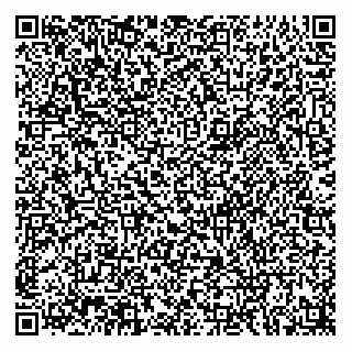 vCard 73952710641