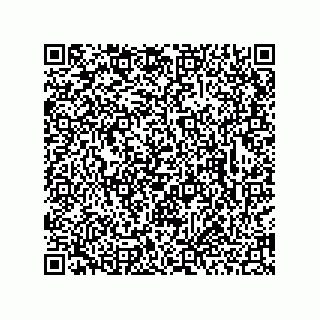 vCard 73953366289
