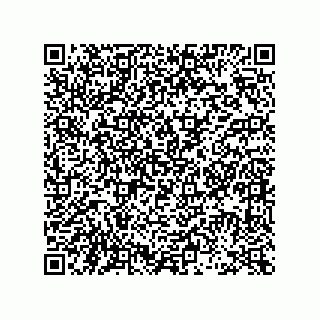vCard 73953366379