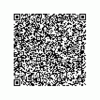 vCard 73953368379