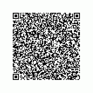 vCard 73953373020