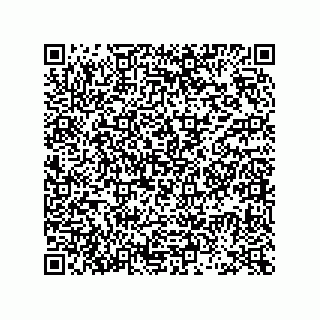 vCard 73953373233