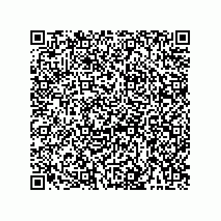 vCard 73953373299