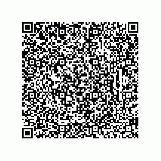 vCard 73953373311