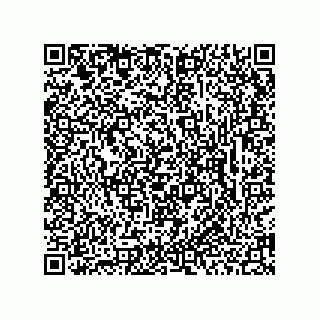 vCard 73953373335