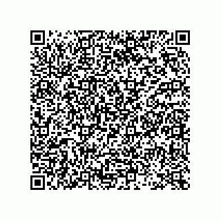 vCard 73953373376