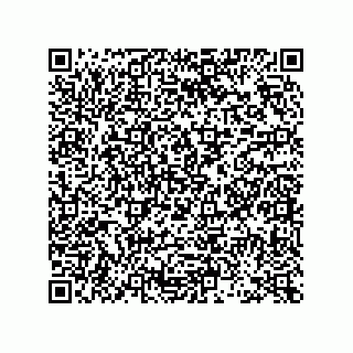 vCard 73953373386