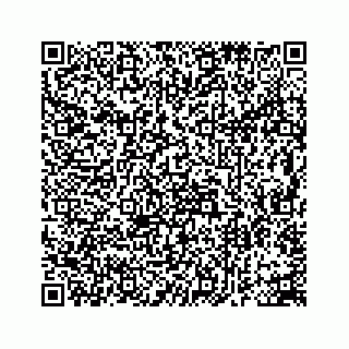 vCard 73953542729