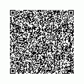 vCard 73953549211