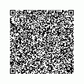 vCard 73953549291