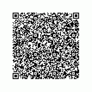 vCard 73953596299