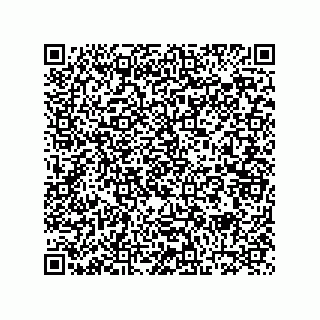 vCard 73953596579