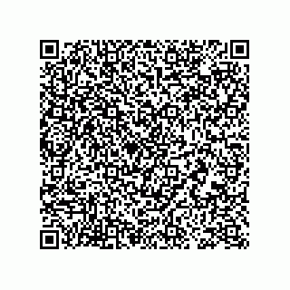 vCard 73953793010