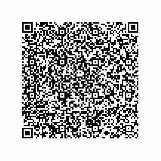 vCard 73953996289