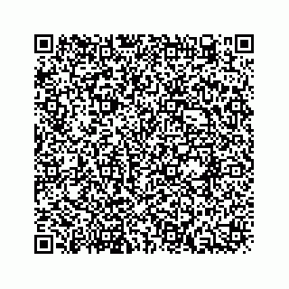 vCard 73954357303