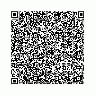 vCard 73954357313