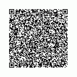 vCard 73954357333