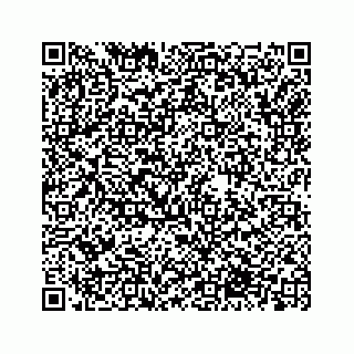 vCard 73954357387