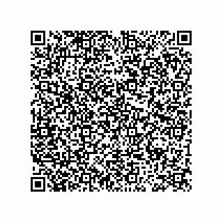 vCard 73954843233