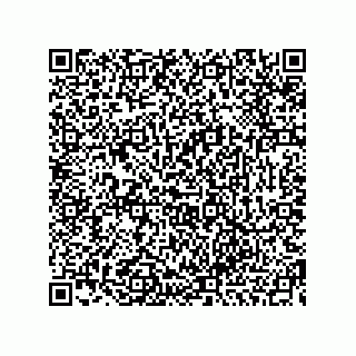vCard 73954843313