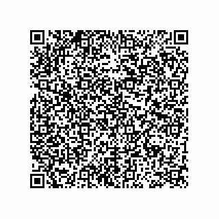 vCard 73954843333