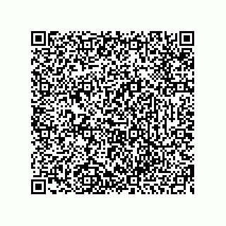 vCard 73954843334