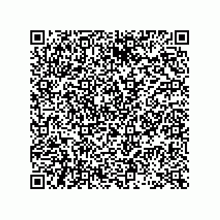 vCard 73955320133