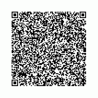 vCard 73955733131