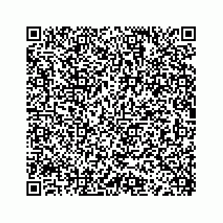 vCard 73955733198