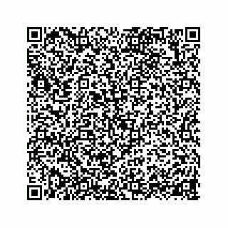vCard 73956178296