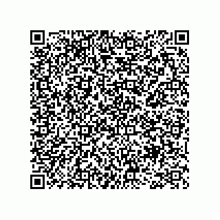 vCard 73956795204