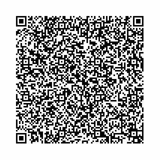 vCard 74014153181