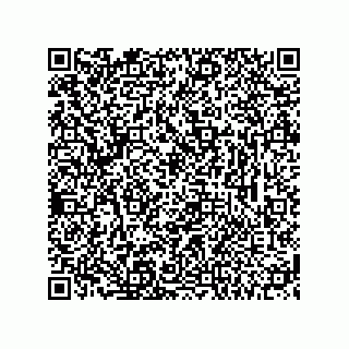 vCard 74113123385