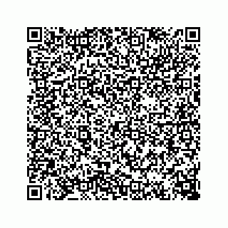 vCard 74113221311