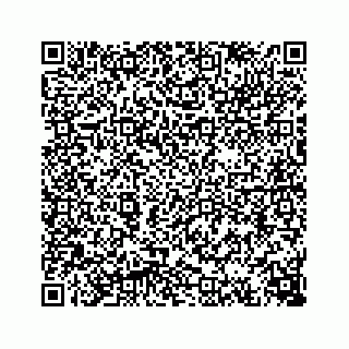 vCard 74113221331