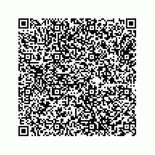 vCard 74113221332