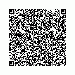 vCard 74115420132