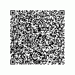 vCard 74132200528