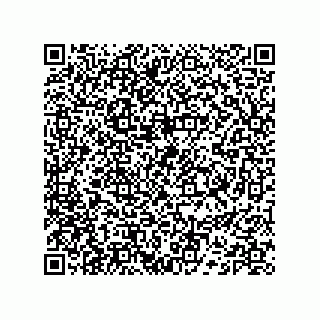 vCard 74132204013