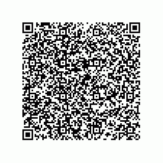 vCard 74132204131