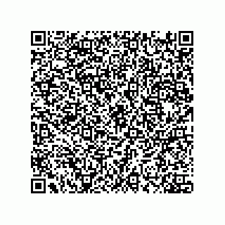 vCard 74132220099