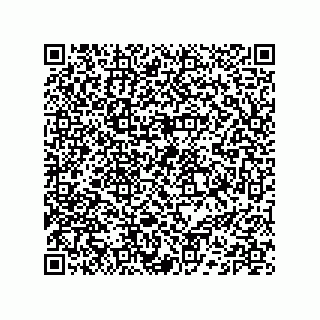 vCard 74132220111