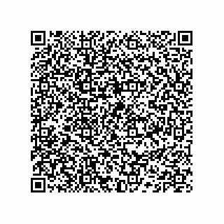 vCard 74132220131