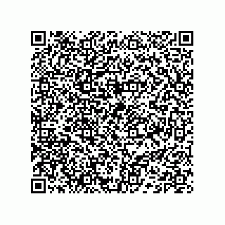 vCard 74132220163